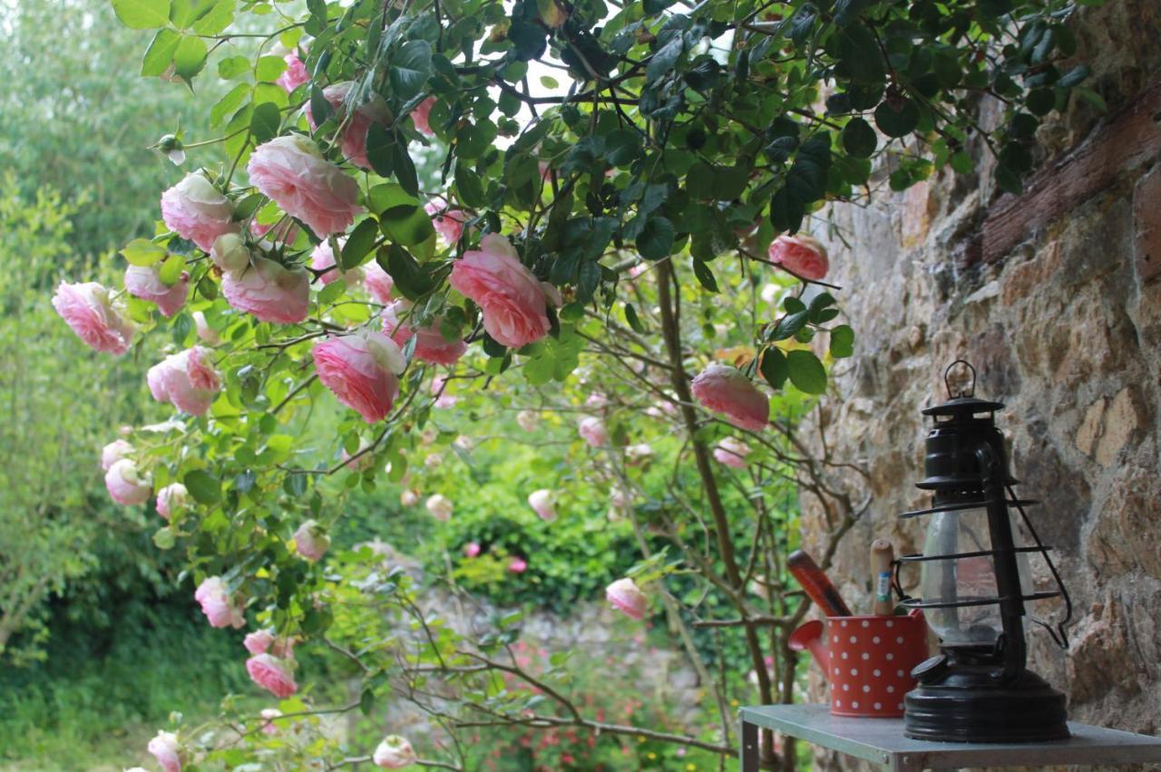 Le Manoir De Panduonec Bed & Breakfast Treverec ภายนอก รูปภาพ